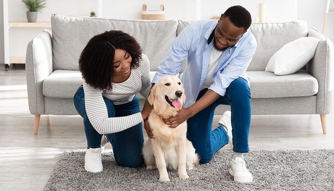 New Pet Parent Guide 2025: 15 Essentials Every Dog and Cat Owner Must Know