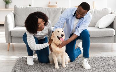 New Pet Parent Guide 2025: 15 Essentials Every Dog and Cat Owner Must Know