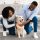 New Pet Parent Guide 2025: 15 Essentials Every Dog and Cat Owner Must Know