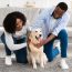 New Pet Parent Guide 2025: 15 Essentials Every Dog and Cat Owner Must Know