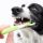 Pet Dental Care Made Simple: 9 Ways to Keep Your Pet’s Mouth Healthy and Pain-Free