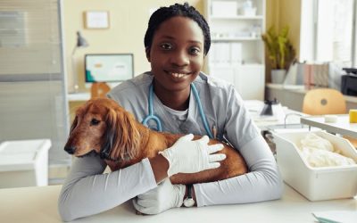 When to Worry: 10 Critical Signs Your Pet Needs Emergency Care Right Now