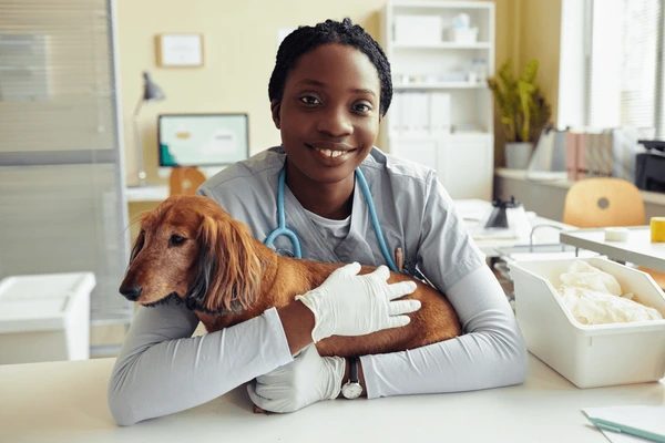 When to Worry: 10 Critical Signs Your Pet Needs Emergency Care Right Now